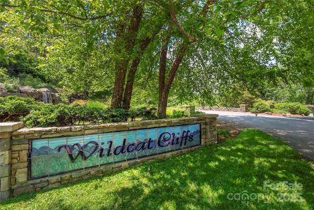 152 Skycliff Dr Unit 8, Asheville, NC 28804 - photo 4