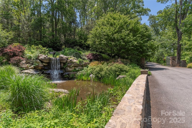 152 Skycliff Dr Unit 8, Asheville, NC 28804 - photo 5