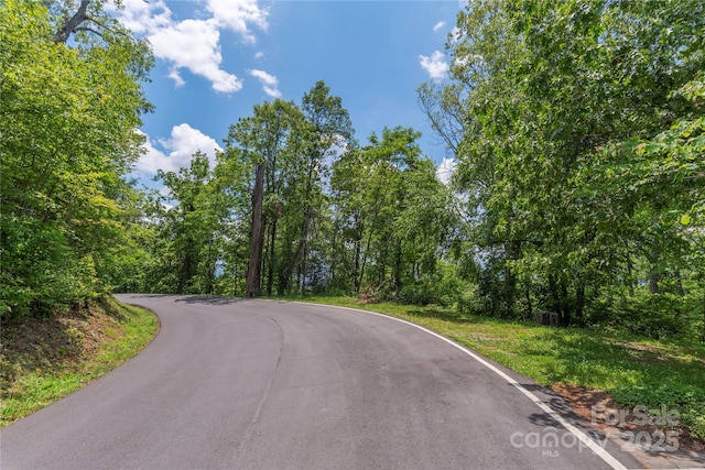 152 Skycliff Dr Unit 8, Asheville, NC 28804 - photo 6