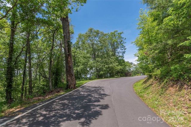 152 Skycliff Dr Unit 8, Asheville, NC 28804 - photo 7
