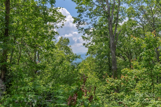 152 Skycliff Dr Unit 8, Asheville, NC 28804 - photo 8