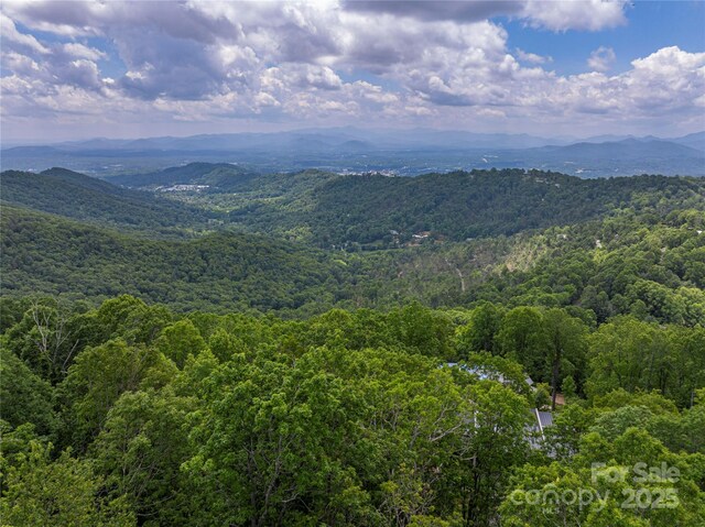 152 Skycliff Dr Unit 8, Asheville, NC 28804 - photo 9