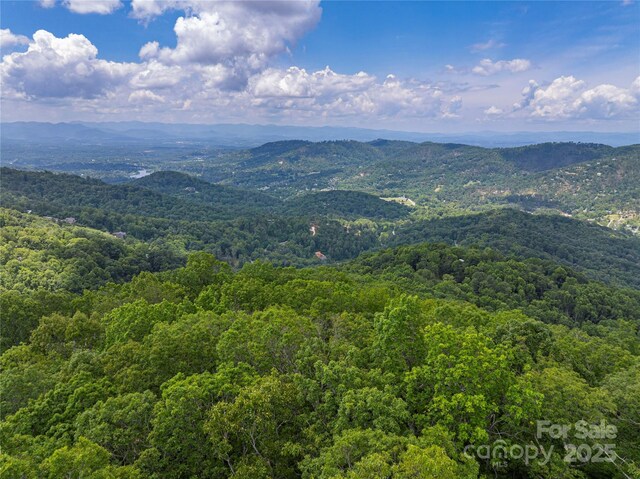 152 Skycliff Dr Unit 8, Asheville, NC 28804 - photo 10