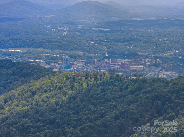 152 Skycliff Dr Unit 8, Asheville, NC 28804 - photo 11