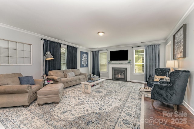 2606 Cheverny Pl, Concord, NC 28027 - living area with crown molding, a fireplace with flush hearth, and wood finished floors