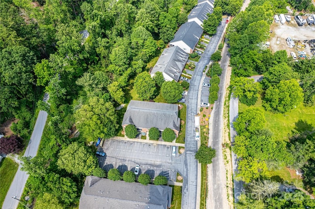 234 Wash Creek Dr Unit B, Hendersonville, NC 28739 - aerial view of property and surrounding area