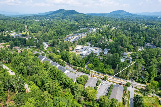 234 Wash Creek Dr Unit B, Hendersonville, NC 28739 - view of property location featuring a heavily wooded area and mountains