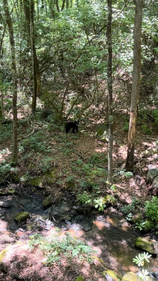 630 Shumont Rd, Black Mountain, NC 28711 - view of undeveloped land