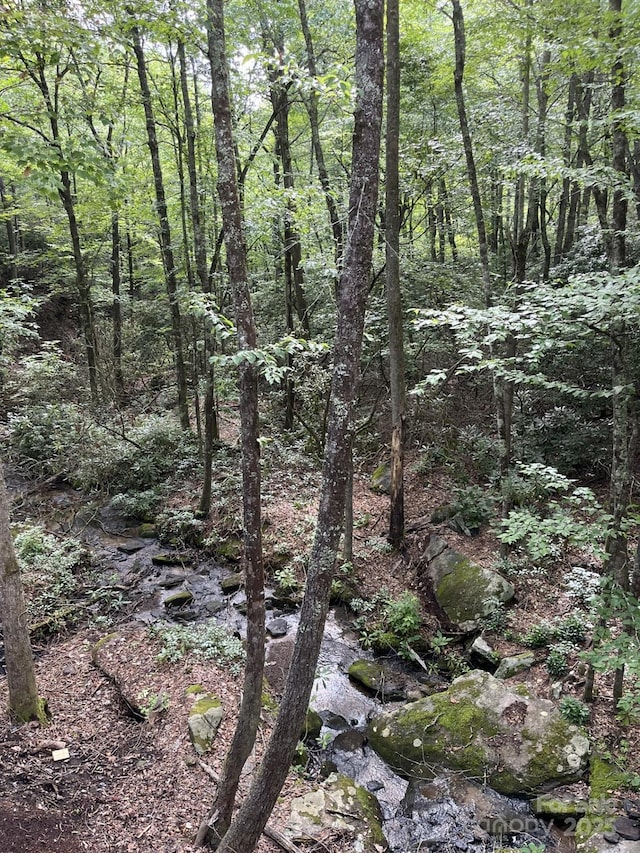 630 Shumont Rd, Black Mountain, NC 28711 - view of tree filled area