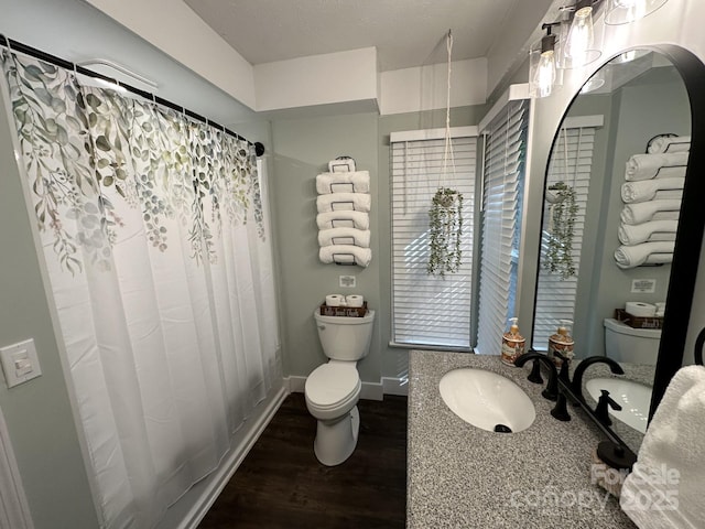 630 Shumont Rd, Black Mountain, NC 28711 - full bath featuring toilet, wood finished floors, vanity, and curtained shower