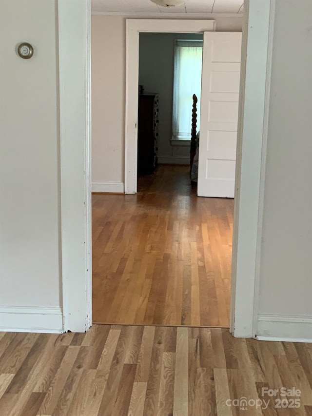 1721 9th Ave NE, Hickory, NC 28601 - hallway with wood finished floors and baseboards