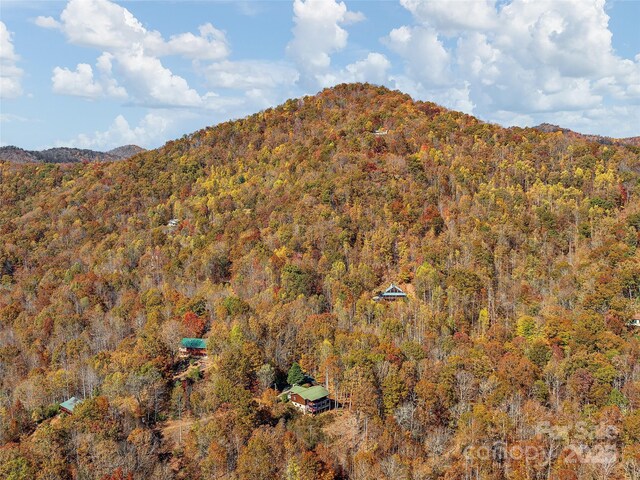 110 Garden Knoll Rd, Franklin, NC 28734 - mountain view featuring a forest