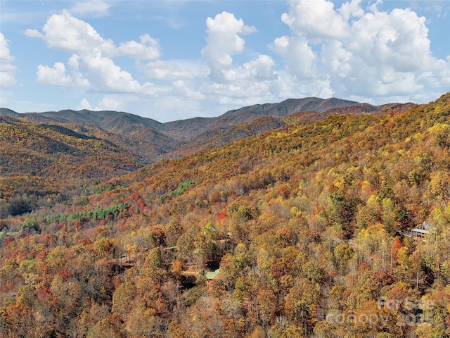 110 Garden Knoll Rd, Franklin, NC 28734 - view of mountain backdrop featuring a forest