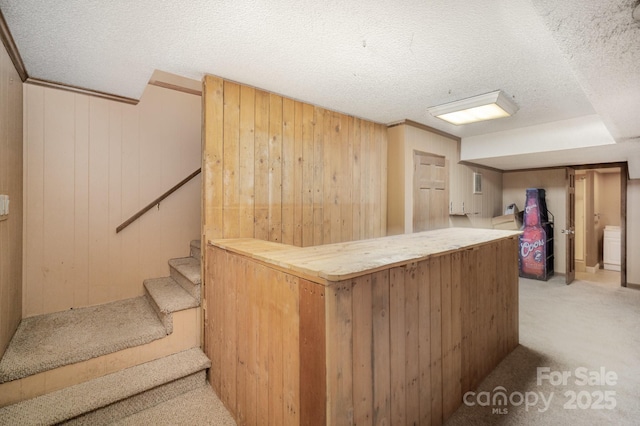 110 Hidden Valley St, Cherryville, NC 28021 - bar featuring a textured ceiling, carpet flooring, stairs, and wood walls