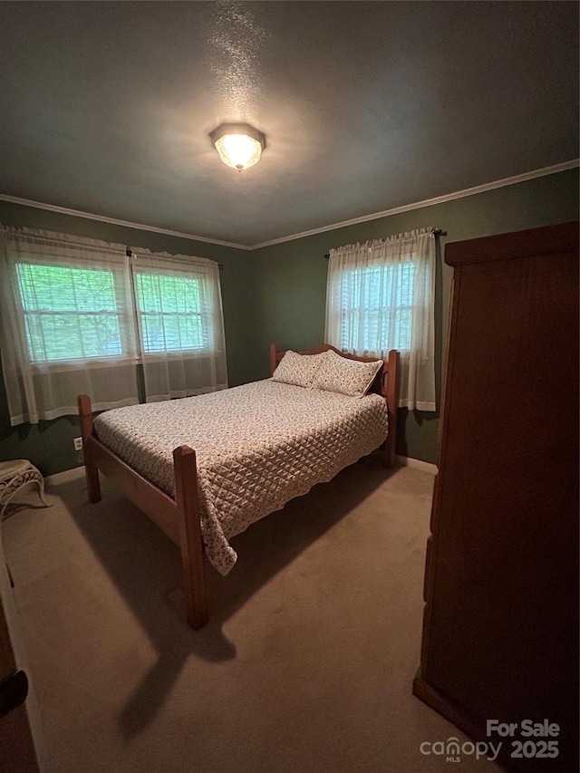 211 S Slack St, Albemarle, NC 28001 - carpeted bedroom featuring ornamental molding and baseboards