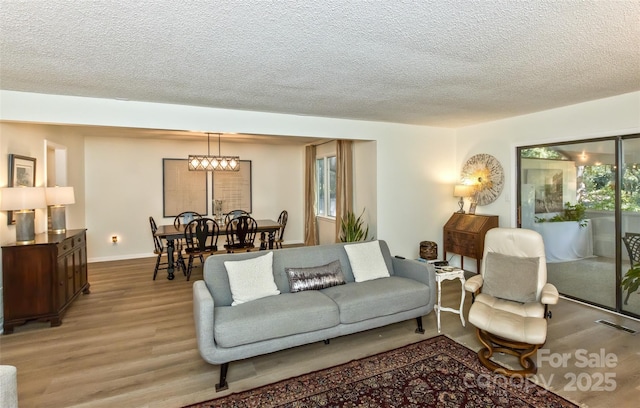 503 Crowfields Ln, Asheville, NC 28803 - living area with wood finished floors, a textured ceiling, and healthy amount of natural light