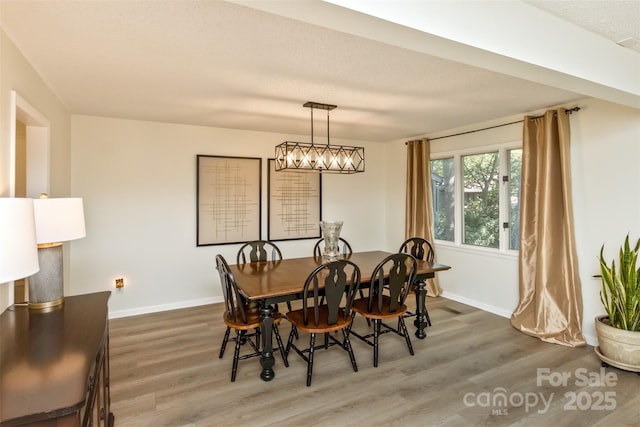 503 Crowfields Ln, Asheville, NC 28803 - dining room featuring wood finished floors and baseboards
