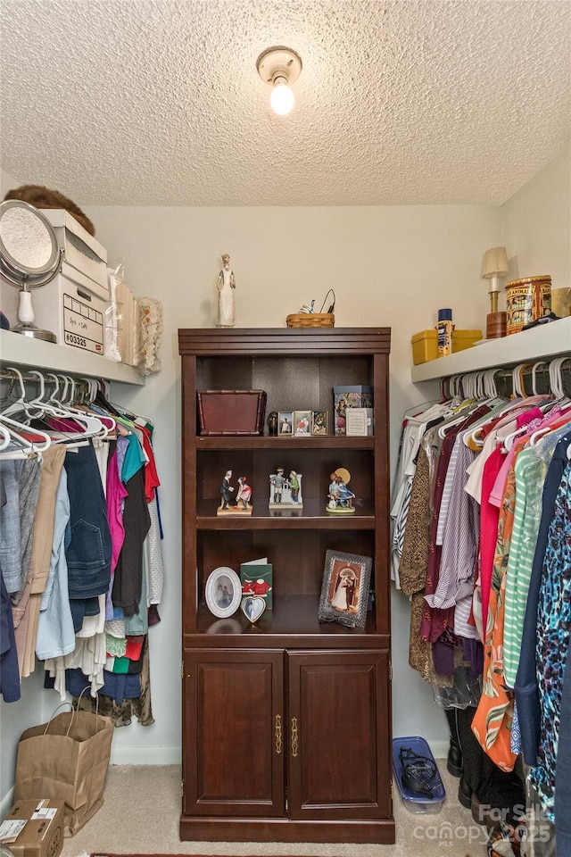 503 Crowfields Ln, Asheville, NC 28803 - spacious closet with carpet flooring