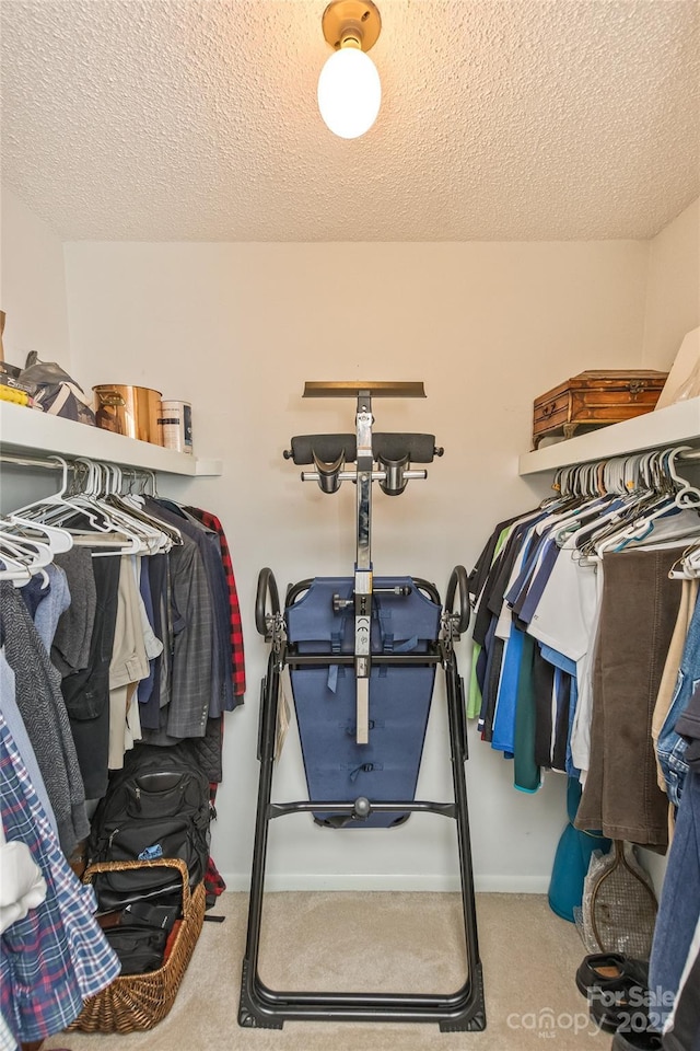 503 Crowfields Ln, Asheville, NC 28803 - walk in closet with carpet flooring