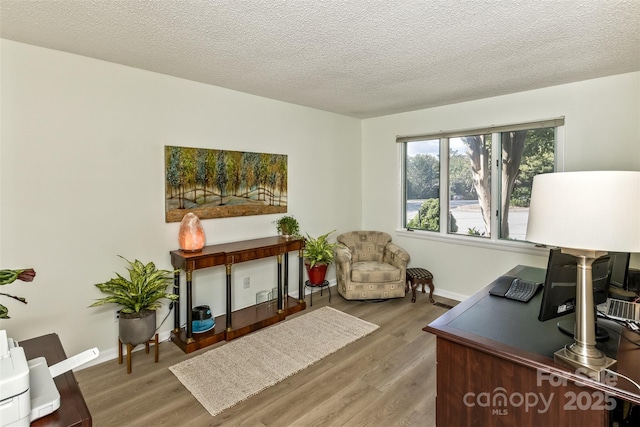 503 Crowfields Ln, Asheville, NC 28803 - office space featuring wood finished floors and a textured ceiling