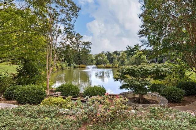 503 Crowfields Ln, Asheville, NC 28803 - water view