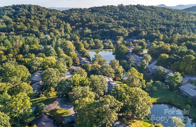 503 Crowfields Ln, Asheville, NC 28803 - aerial view of property's location with a large body of water and a heavily wooded area