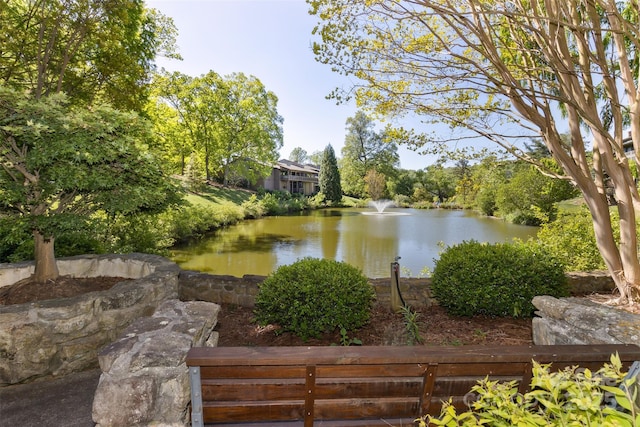 503 Crowfields Ln, Asheville, NC 28803 - photo 1