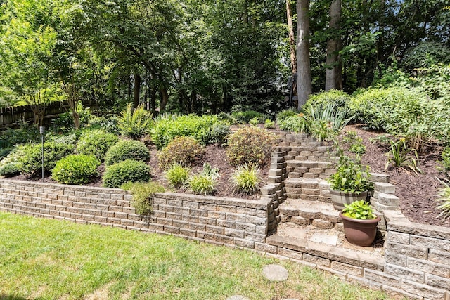 8700 Fox Tail Ln, Huntersville, NC 28078 - view of yard