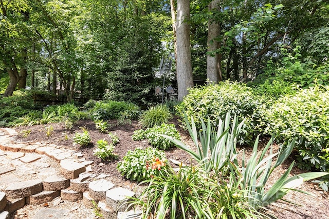 8700 Fox Tail Ln, Huntersville, NC 28078 - view of nature