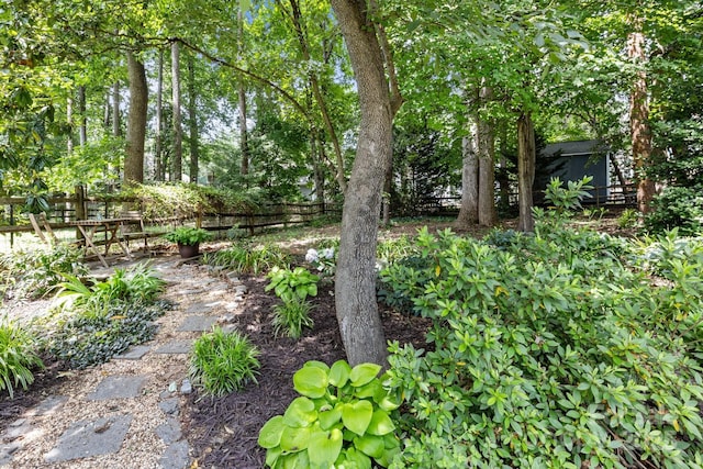 8700 Fox Tail Ln, Huntersville, NC 28078 - view of yard