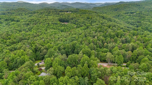 24 Penne Way, Flat Rock, NC 28731 - photo 42