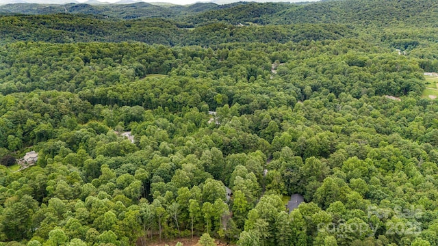 24 Penne Way, Flat Rock, NC 28731 - photo 43
