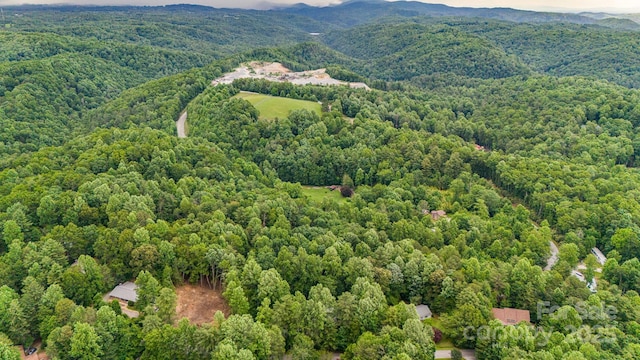 24 Penne Way, Flat Rock, NC 28731 - photo 44