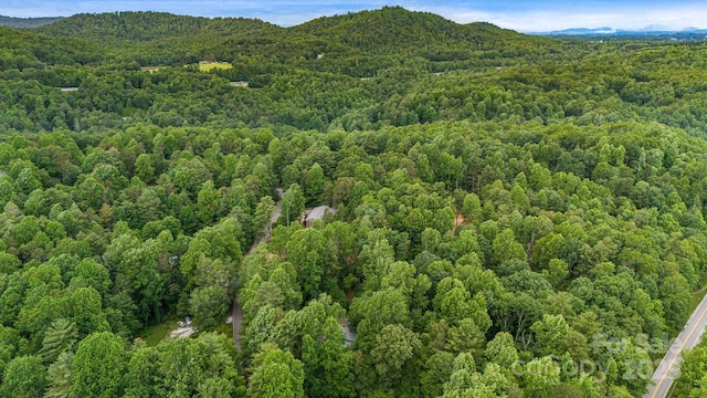 24 Penne Way, Flat Rock, NC 28731 - photo 45