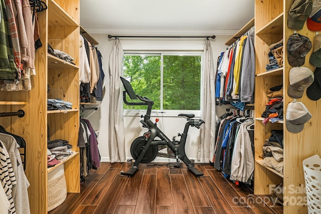 487 Duncan Creek Rd, Fletcher, NC 28732 - spacious closet with wood finished floors
