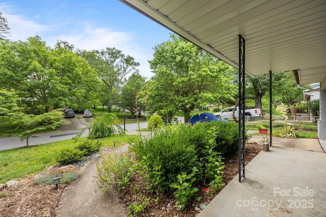 20 Summit Dr, Arden, NC 28704 - view of yard featuring view of scattered trees