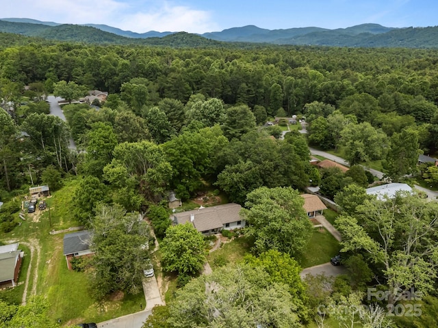20 Summit Dr, Arden, NC 28704 - bird's eye view of a heavily wooded area and mountains