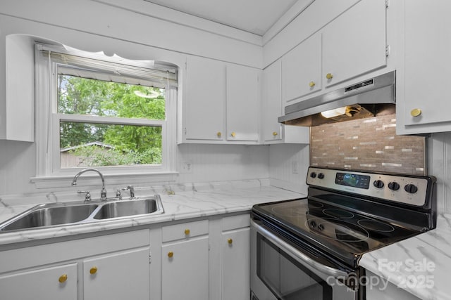 20 Summit Dr, Arden, NC 28704 - kitchen featuring stainless steel range with electric stovetop, under cabinet range hood, light countertops, white cabinets, and plenty of natural light