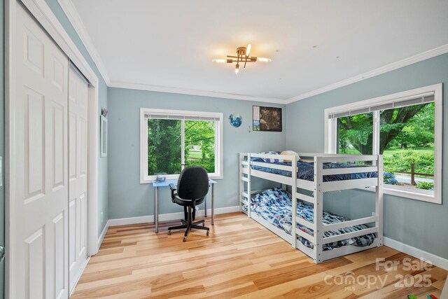 419 E Blue Ridge Rd, East Flat Rock, NC 28726 - bedroom with wood finished floors, ornamental molding, and a closet