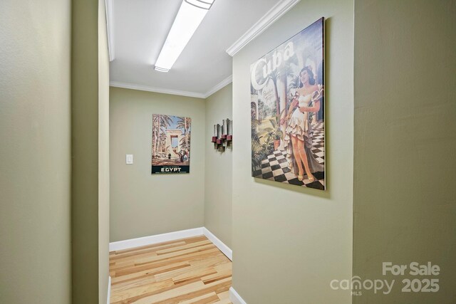 419 E Blue Ridge Rd, East Flat Rock, NC 28726 - corridor with ornamental molding and light wood-style flooring