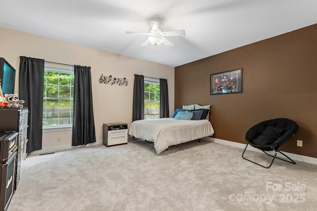 6 Grouse Ter, Fairview, NC 28730 - bedroom with multiple windows and carpet flooring