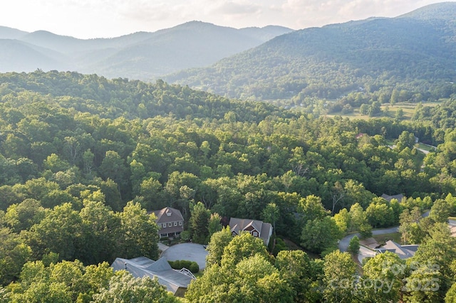 6 Grouse Ter, Fairview, NC 28730 - drone / aerial view of a heavily wooded area