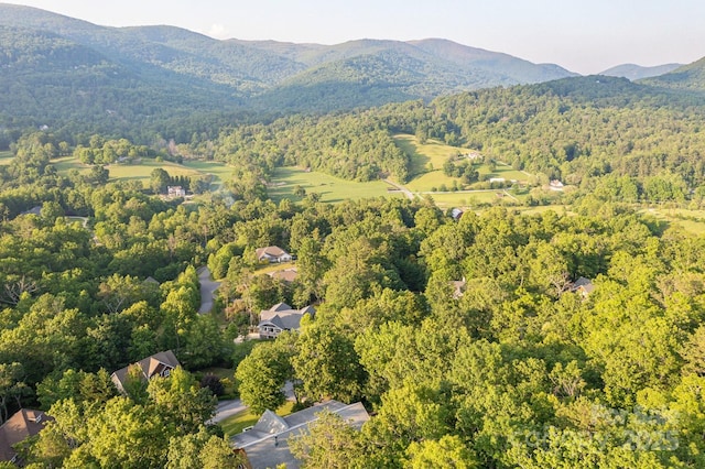 6 Grouse Ter, Fairview, NC 28730 - aerial overview of property's location featuring a forest and a mountainous background