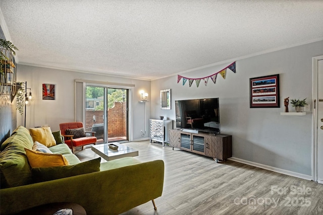 4736 Hedgemore Dr Unit K, Charlotte, NC 28209 - living room with wood finished floors, a textured ceiling, and ornamental molding