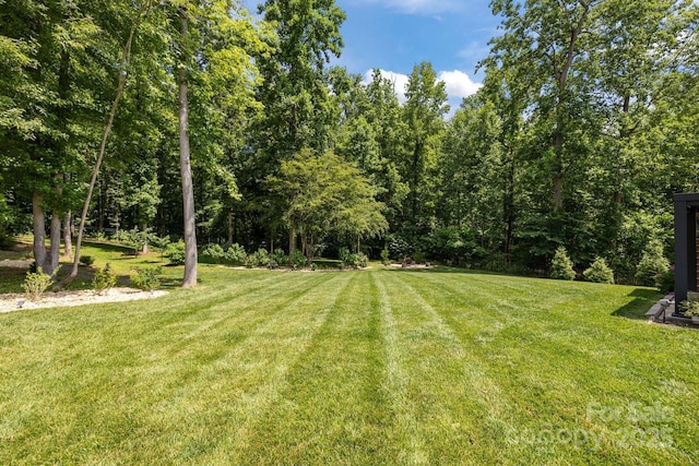 322 Ethan Ln, Rock Hill, SC 29732 - view of grassy yard