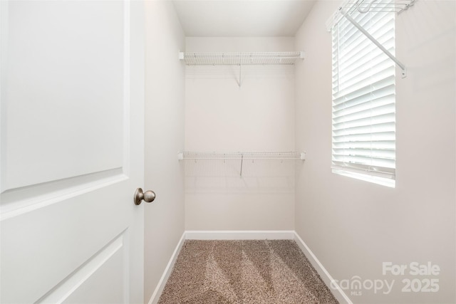 7012 Bryce Ave, Charlotte, NC 28217 - photo 19