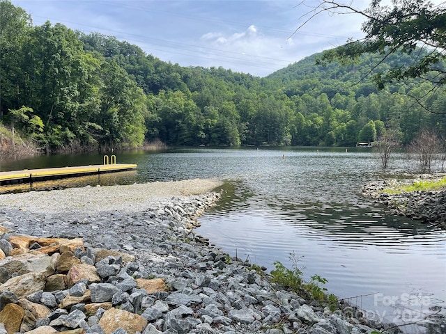 2642 Canada Rd, Tuckasegee, NC 28783