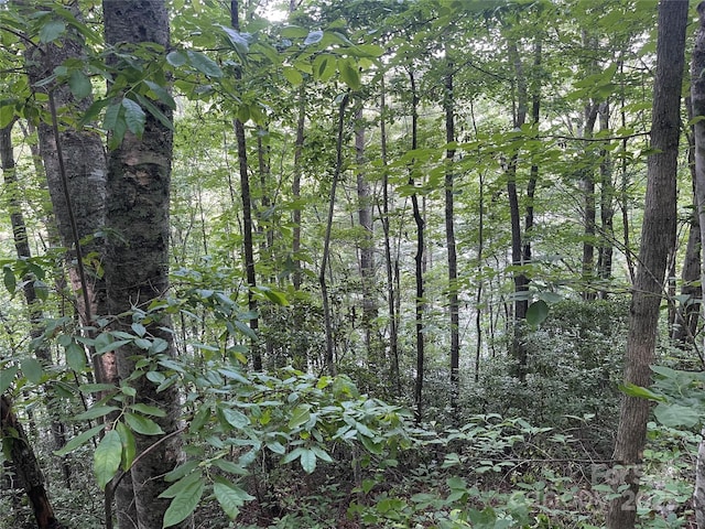 2642 Canada Rd, Tuckasegee, NC 28783