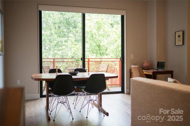 68 Craven St Unit 300, Asheville, NC 28806 - photo 11