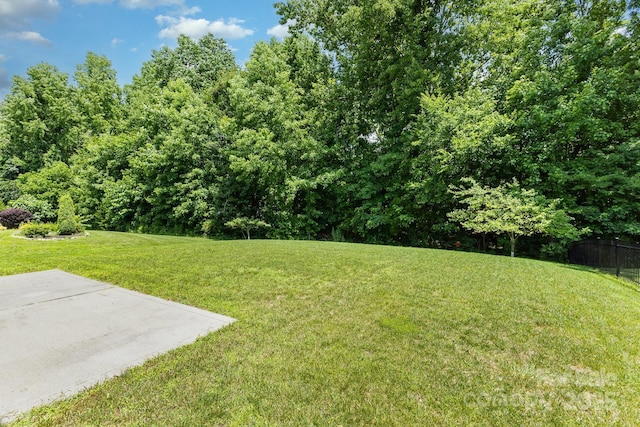 10129 Loch Lomond Dr, Charlotte, NC 28278 - photo 40